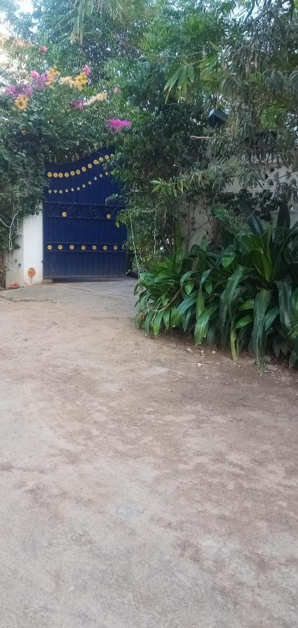 מהבליפורם Meya Beach Walk Hotel מראה חיצוני תמונה