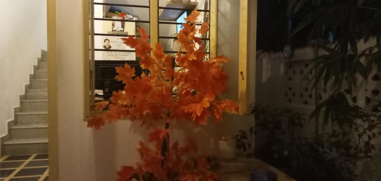 מהבליפורם Meya Beach Walk Hotel מראה חיצוני תמונה